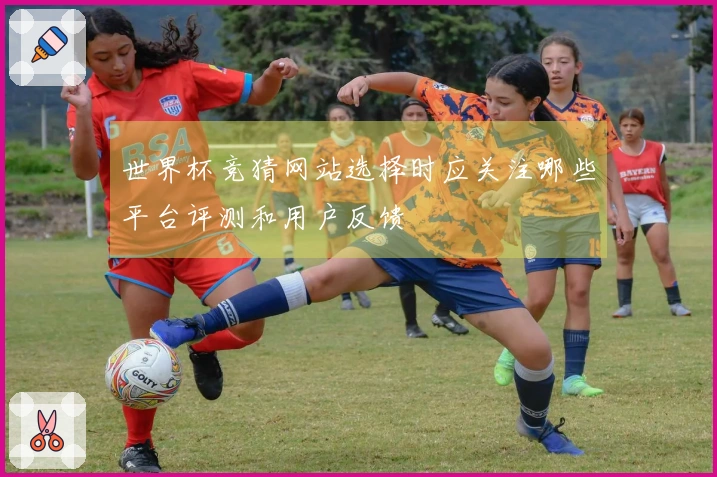 世界杯竞猜网站选择时应关注哪些平台评测和用户反馈