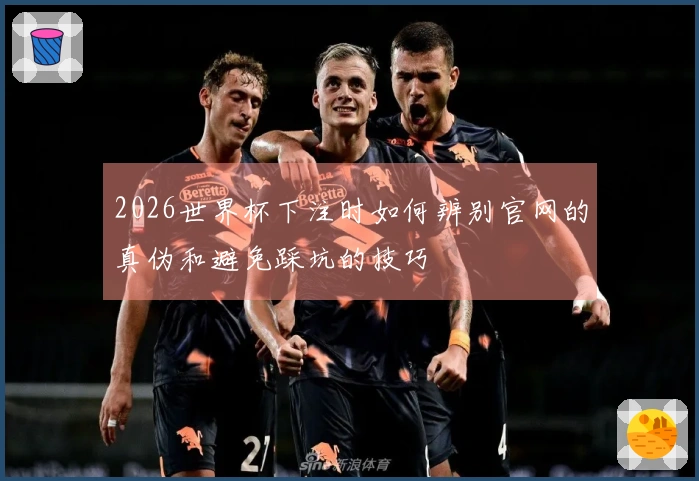 2026世界杯下注时如何辨别官网的真伪和避免踩坑的技巧