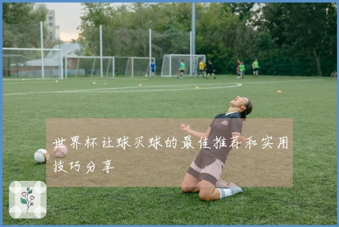 世界杯让球买球的最佳推荐和实用技巧分享