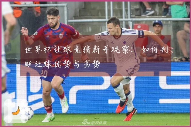 世界杯让球竞猜新手观察：如何判断让球优势与劣势