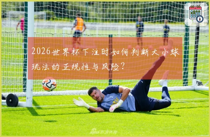 2026世界杯下注时如何判断大小球玩法的正规性与风险？