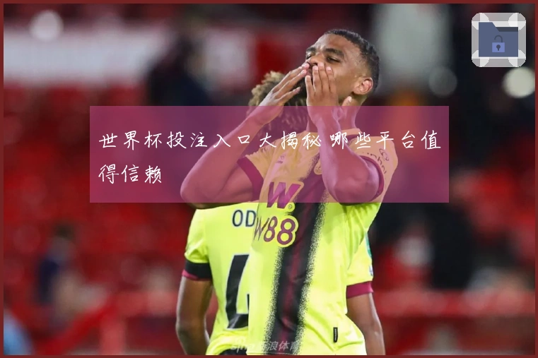 世界杯投注入口大揭秘 哪些平台值得信赖