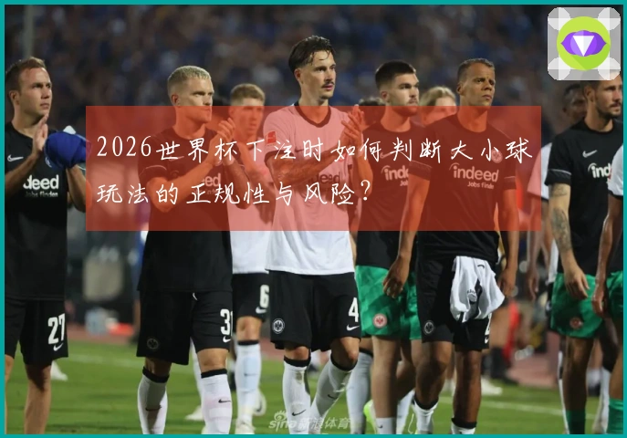 2026世界杯下注时如何判断大小球玩法的正规性与风险？